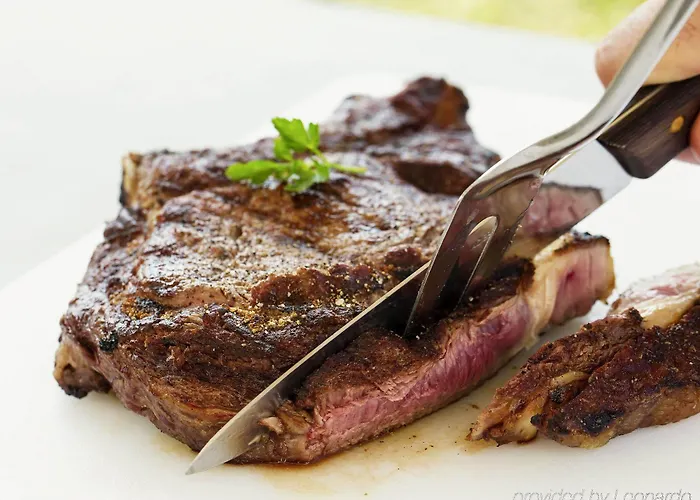 Ibis Le Val Druel Hotel Dieppe